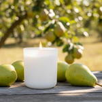 Load image into Gallery viewer, Sweet Sunshine
